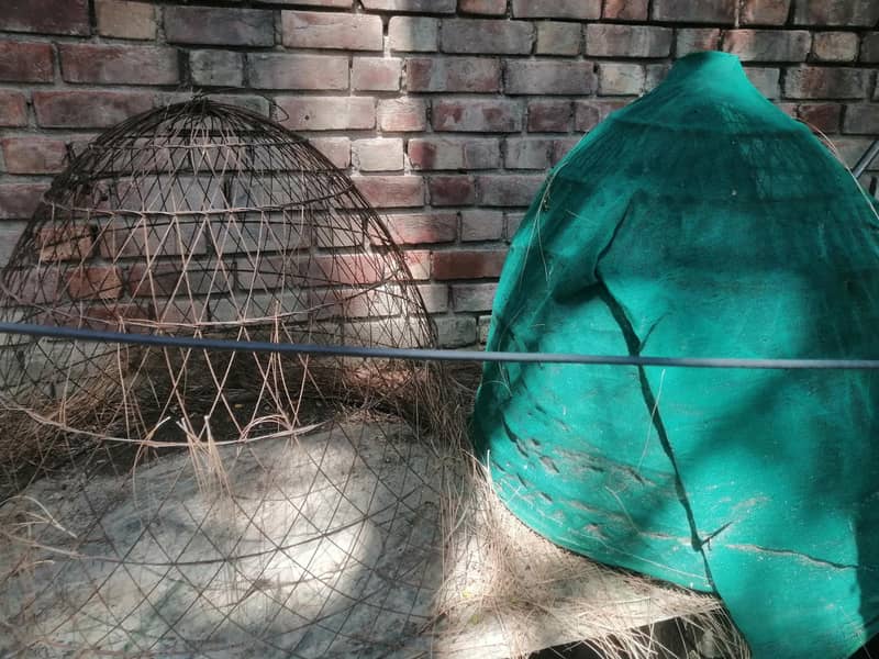 cages 13