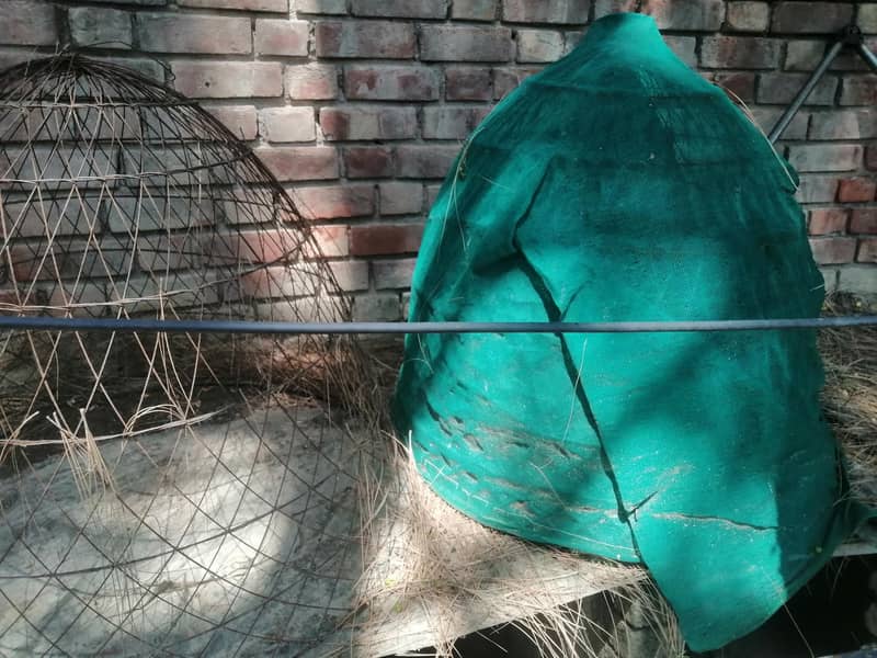 cages 14
