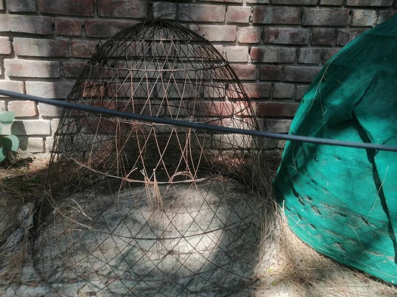 cages 15