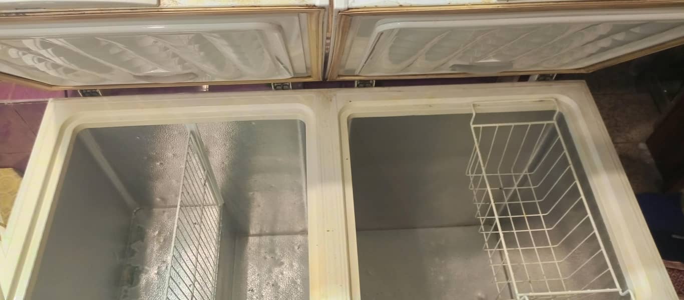 waves D freezer 2