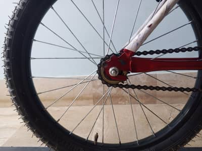 New cycle