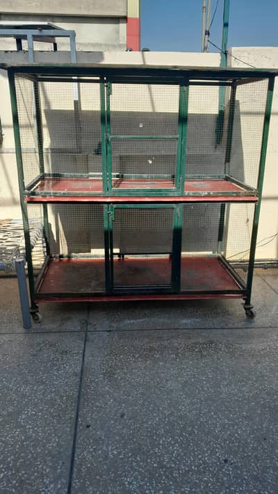 hen & birds cage