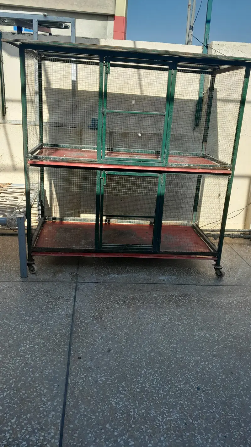 hen & birds cage — photo 2
