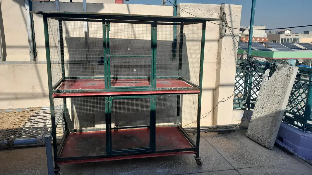 hen & birds cage — photo 5
