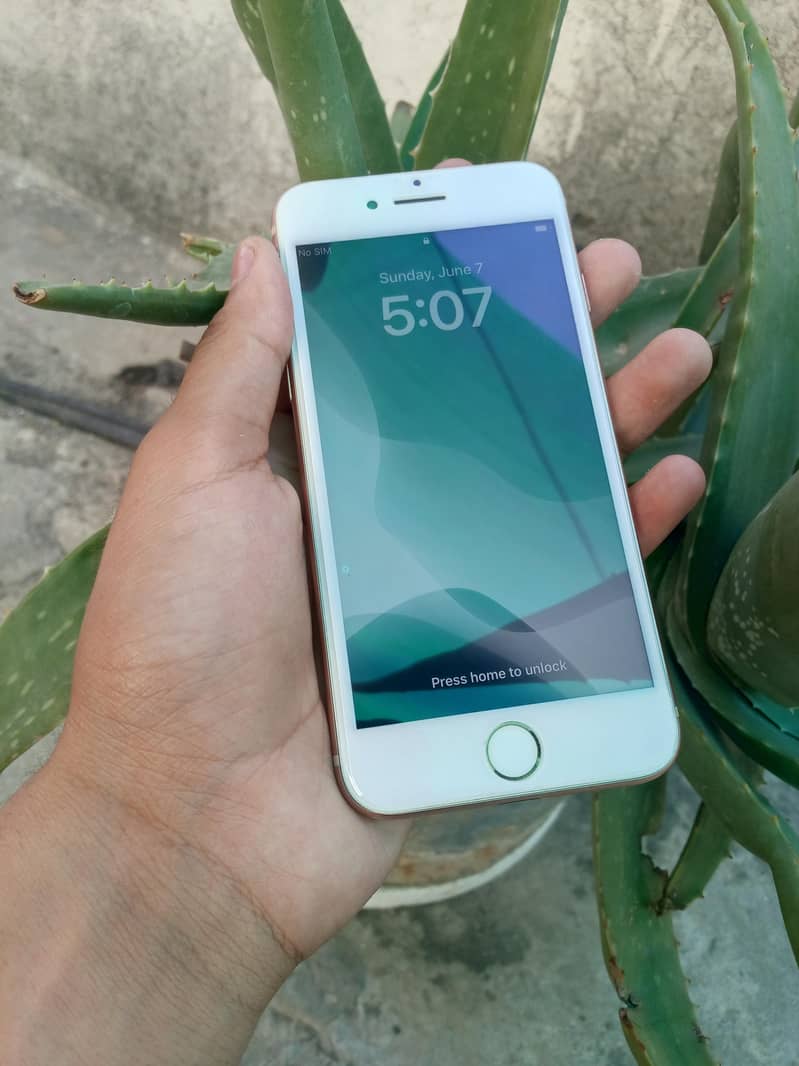 Apple iPhone 8 1