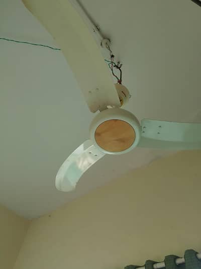 Original Royal Ac DC fan urgent sale