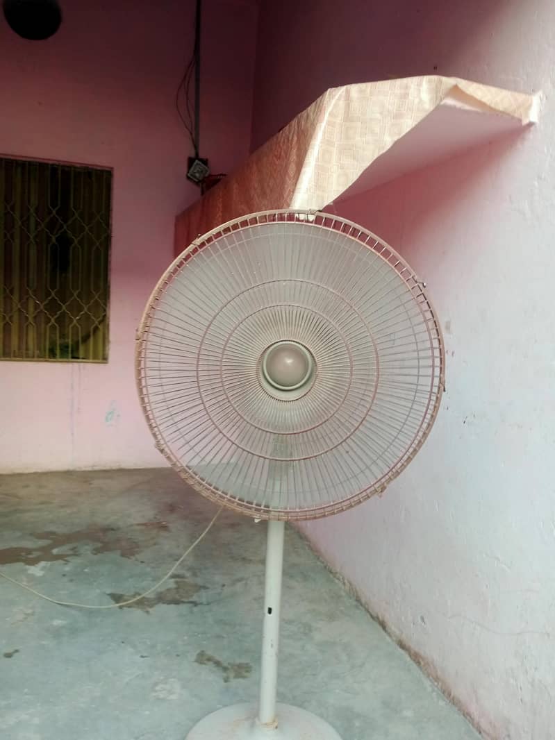 table fan 1