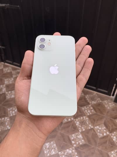 Iphone 12 Dual PTA approved