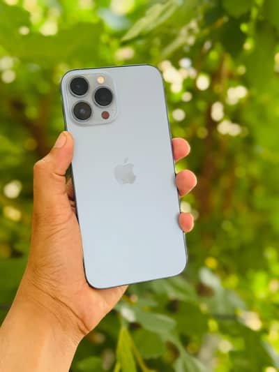 Apple iPhone 13 Pro Max