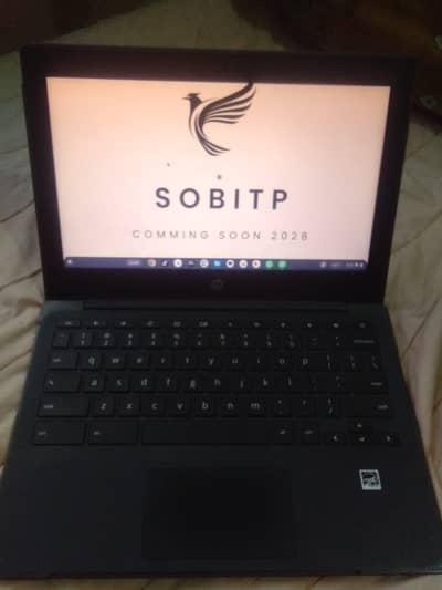 HP Chrome Book 2029 update