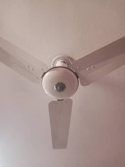 Pak Fan Original 99.9% Copper Contact 03476892044