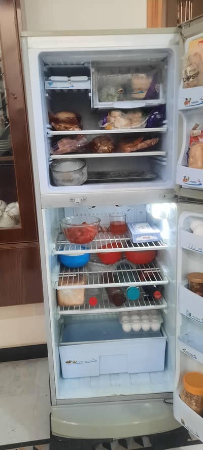 PEL Refrigerator for Sale 10CFT