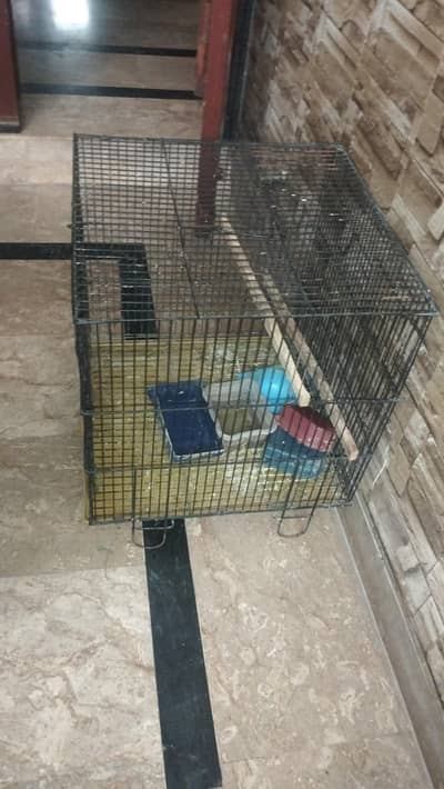 sasty cages breeding box for sale
