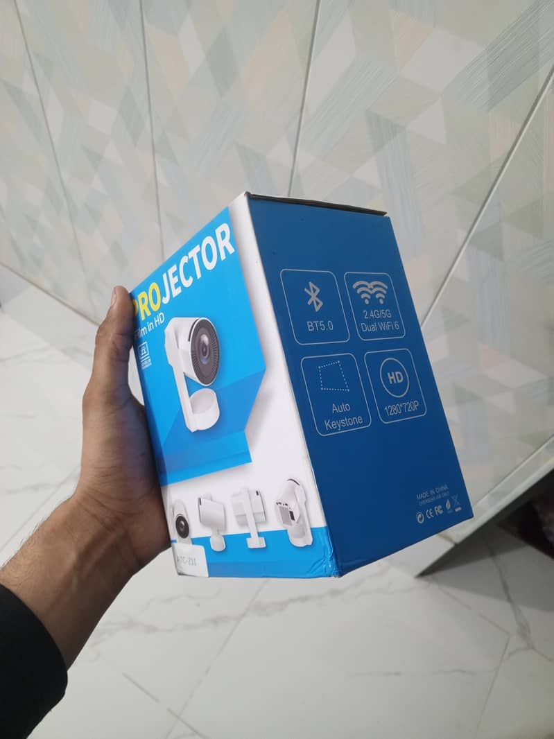 projector 6