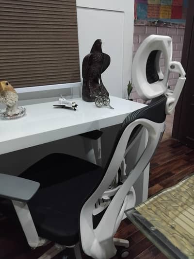 Boss Chair
