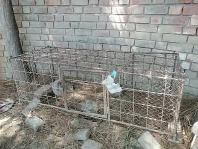 cages