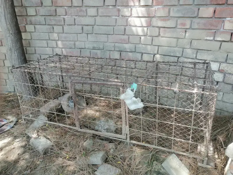 cages