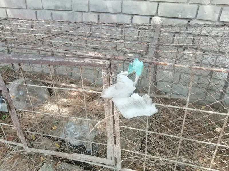 cages — photo 6