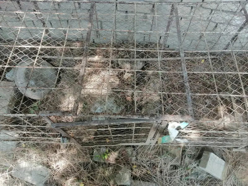 cages — photo 7