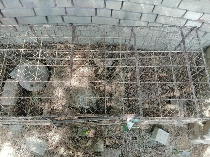 cages — photo 8