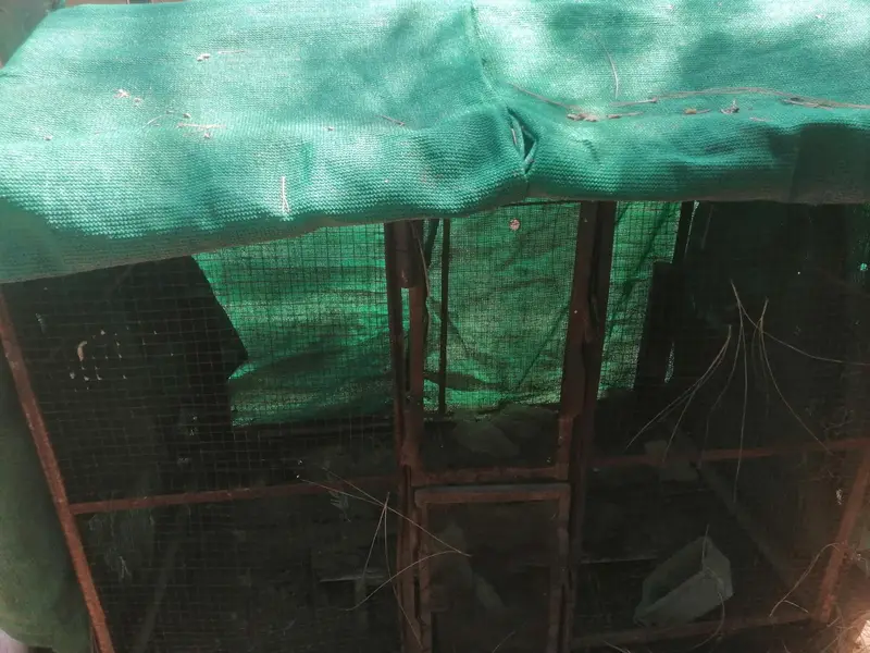 cages — photo 10