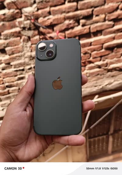 Apple iPhone 13 alpine green