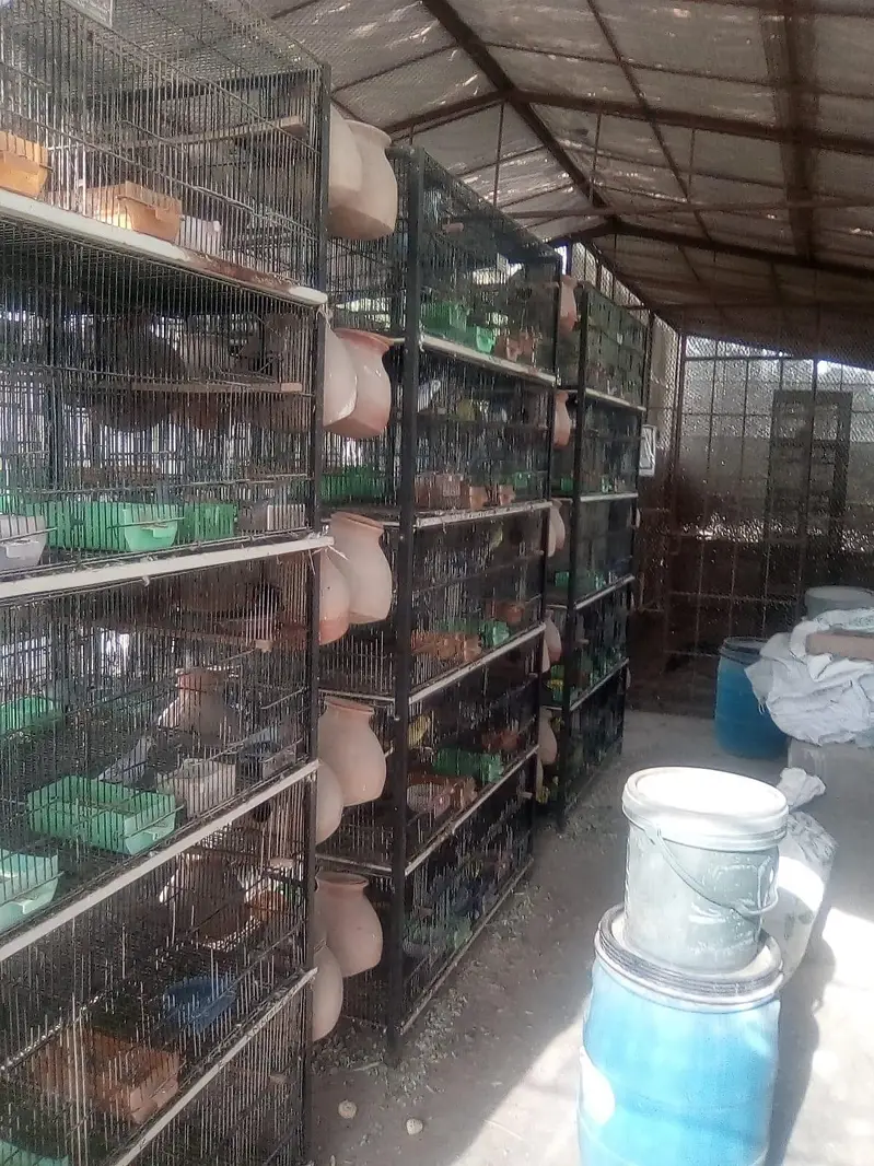cages — photo 3