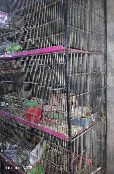 cages for sale