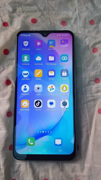 Vivo Y17
