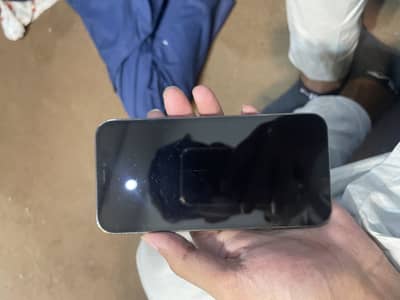 Apple iPhone 12 Pro dual pta