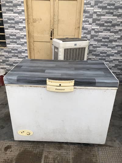 Waves Deep Freezer Genuine