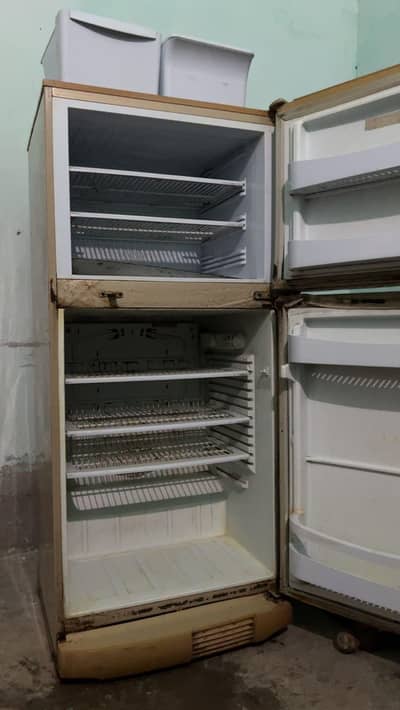 Pel wide shape refrigerator for sale