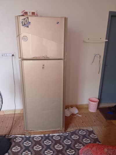 phone number 03190040827