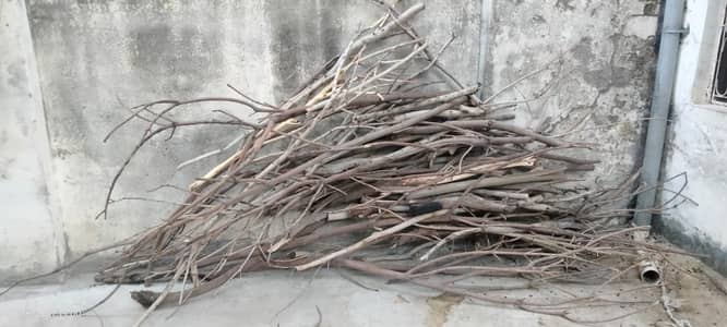 Dry Wood for Burning