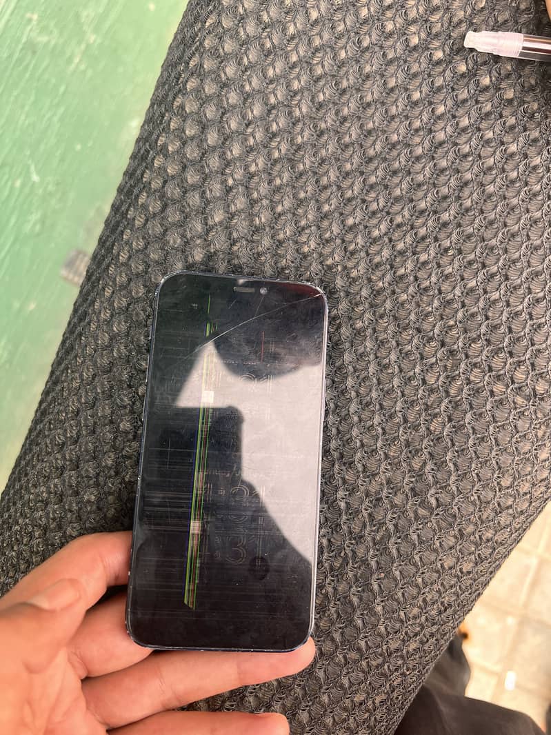 iPhone 12 mini 1