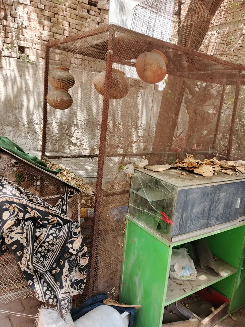 hen cage