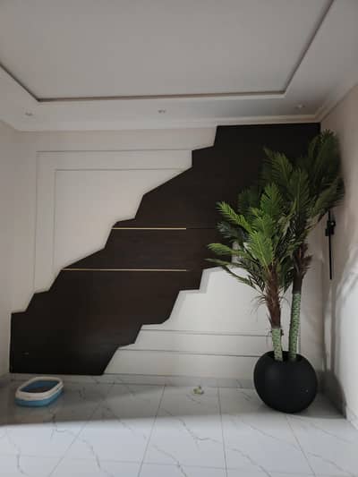 Professional carpenter & wood interior designer in Lahore