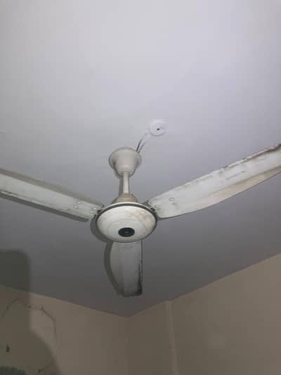 Ceiling Fans for Sale – 2 Available