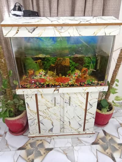aquarium