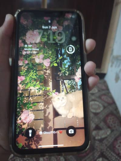 Apple iPhone 11
