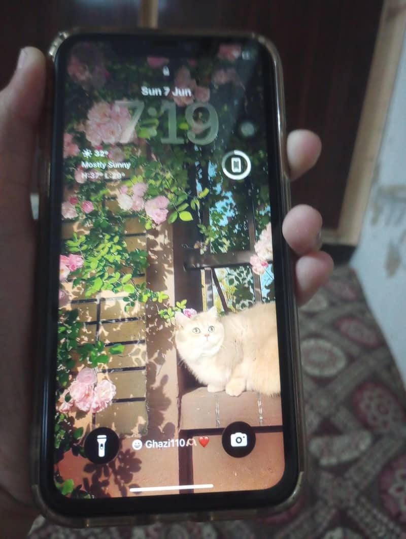 Apple iPhone 11 0