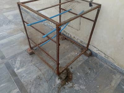 iron cage