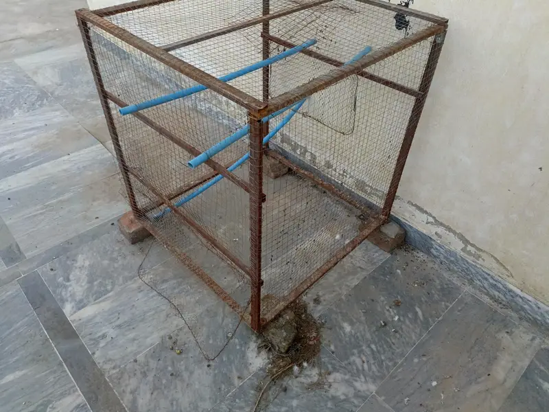 iron cage — photo 4