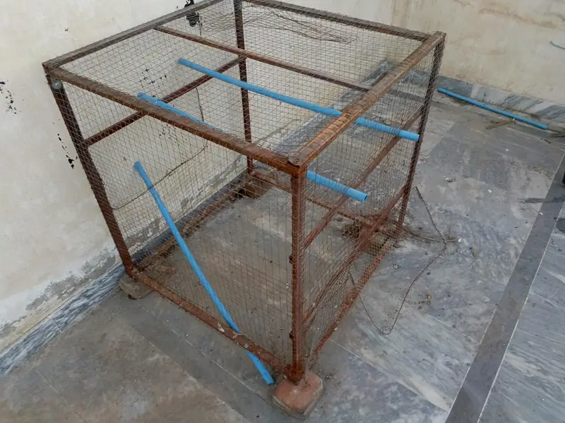 iron cage — photo 5