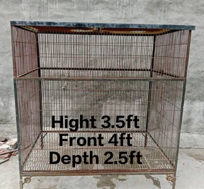 Iron Cage Solid