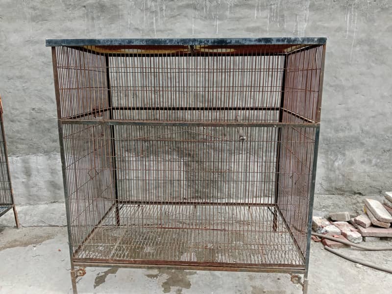 Iron Cage Solid 1
