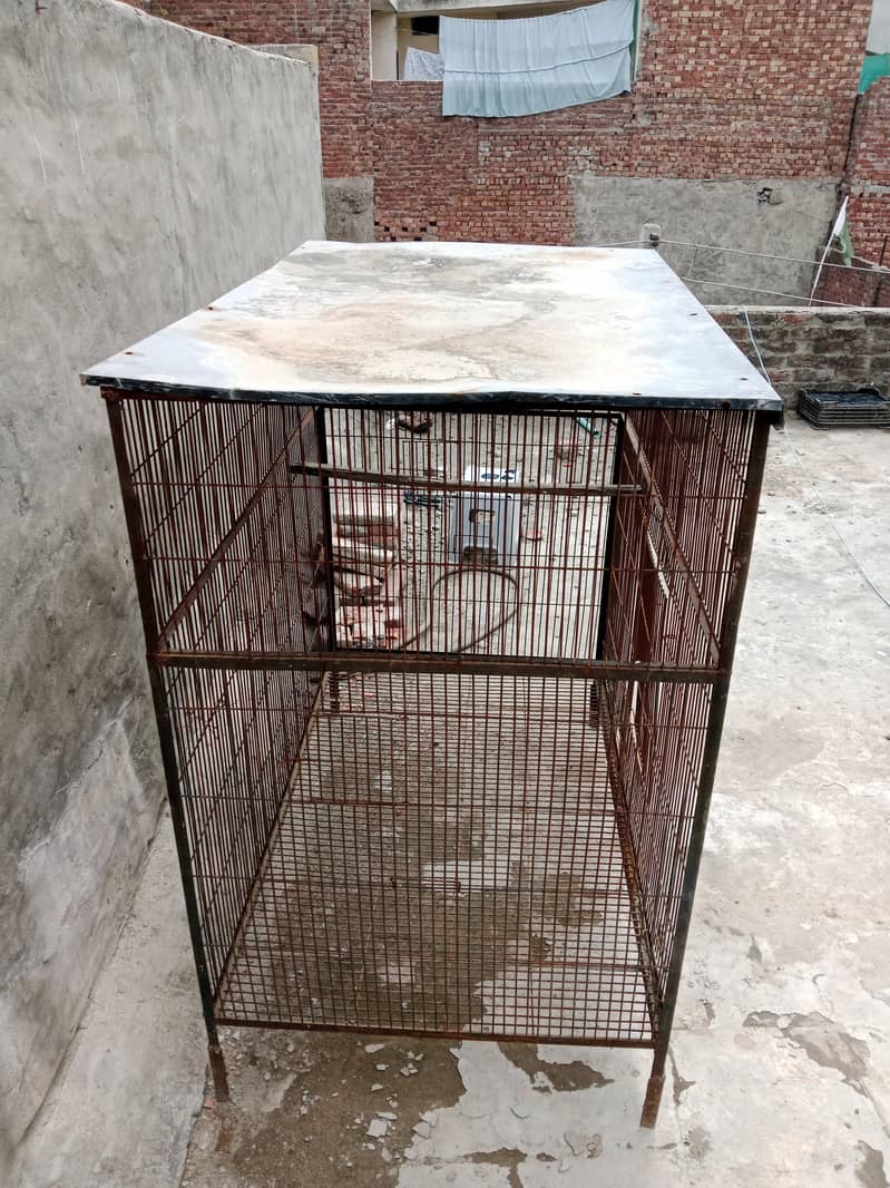 Iron Cage Solid 3