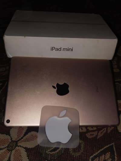 IPAD MINI 5