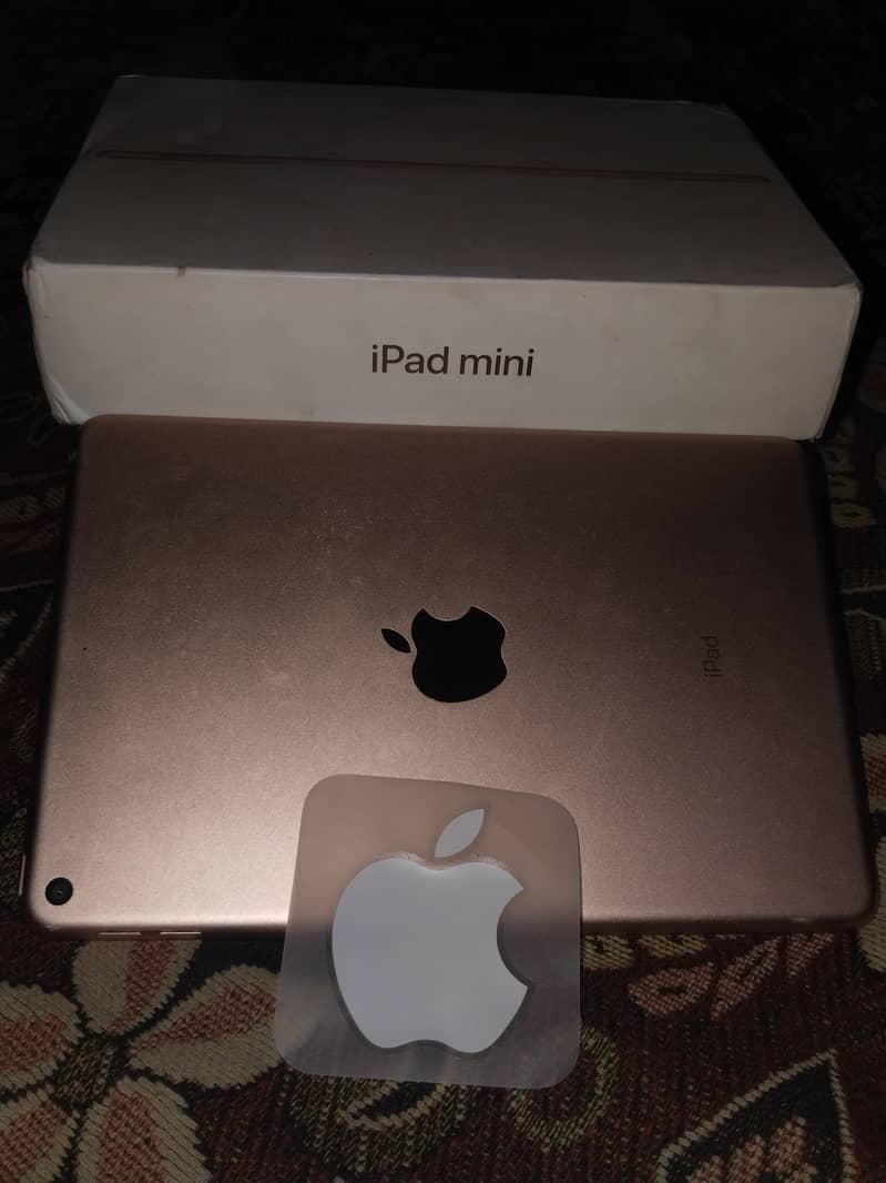 IPAD MINI 5 0