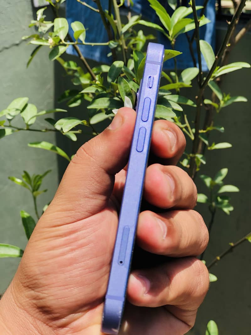 Apple iPhone 12 mini 1